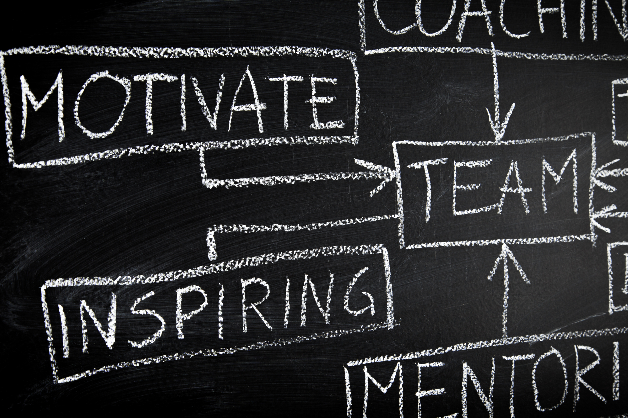 Team building diagram on blackboard Elevate Consulting Team Performance